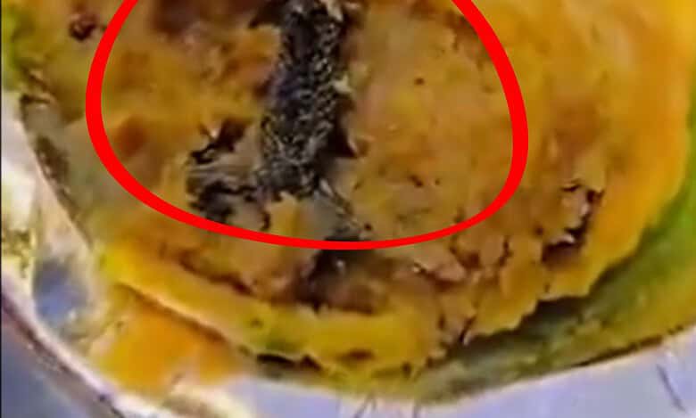 Video: Frog leg found in samosa at sweet shop in Ghaziabad