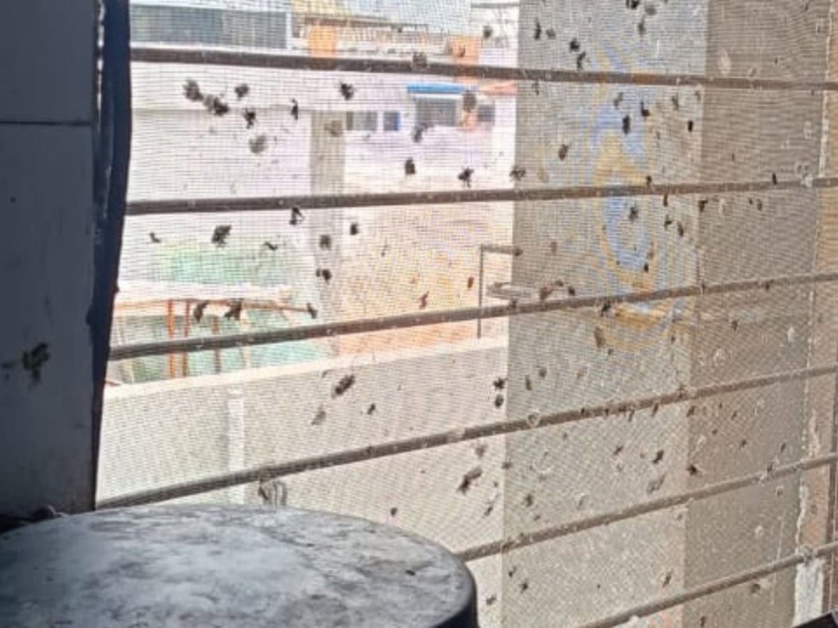 Food safety raids at restaurants in Hyderabad