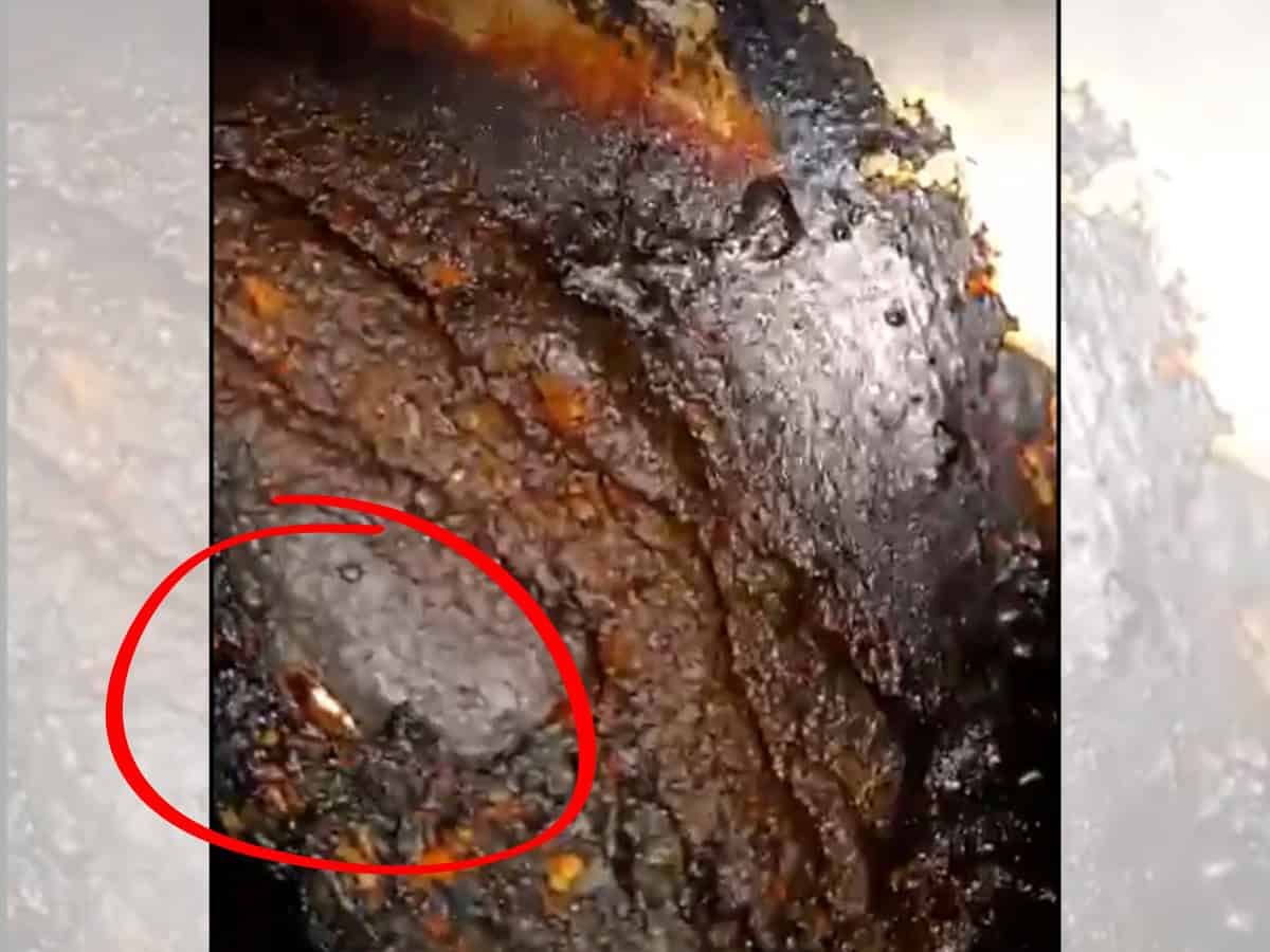 Food safety raids uncover cockroach infestation at restaurants in Hyderabad