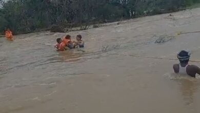 Telangana: Nalgonda police rescue 10 stranded in Nallamalla forest