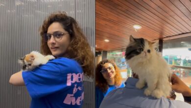 Ankita Lokhande, Vicky Jain get their 'baby' Mau vaccinated