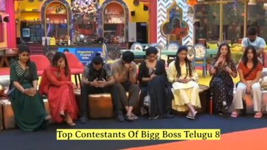 Bigg Boss Telugu 8: Top 3 finalist-worthy contestants so far