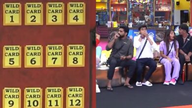 12 New contestants to enter Bigg Boss Telugu 8, but there's twist