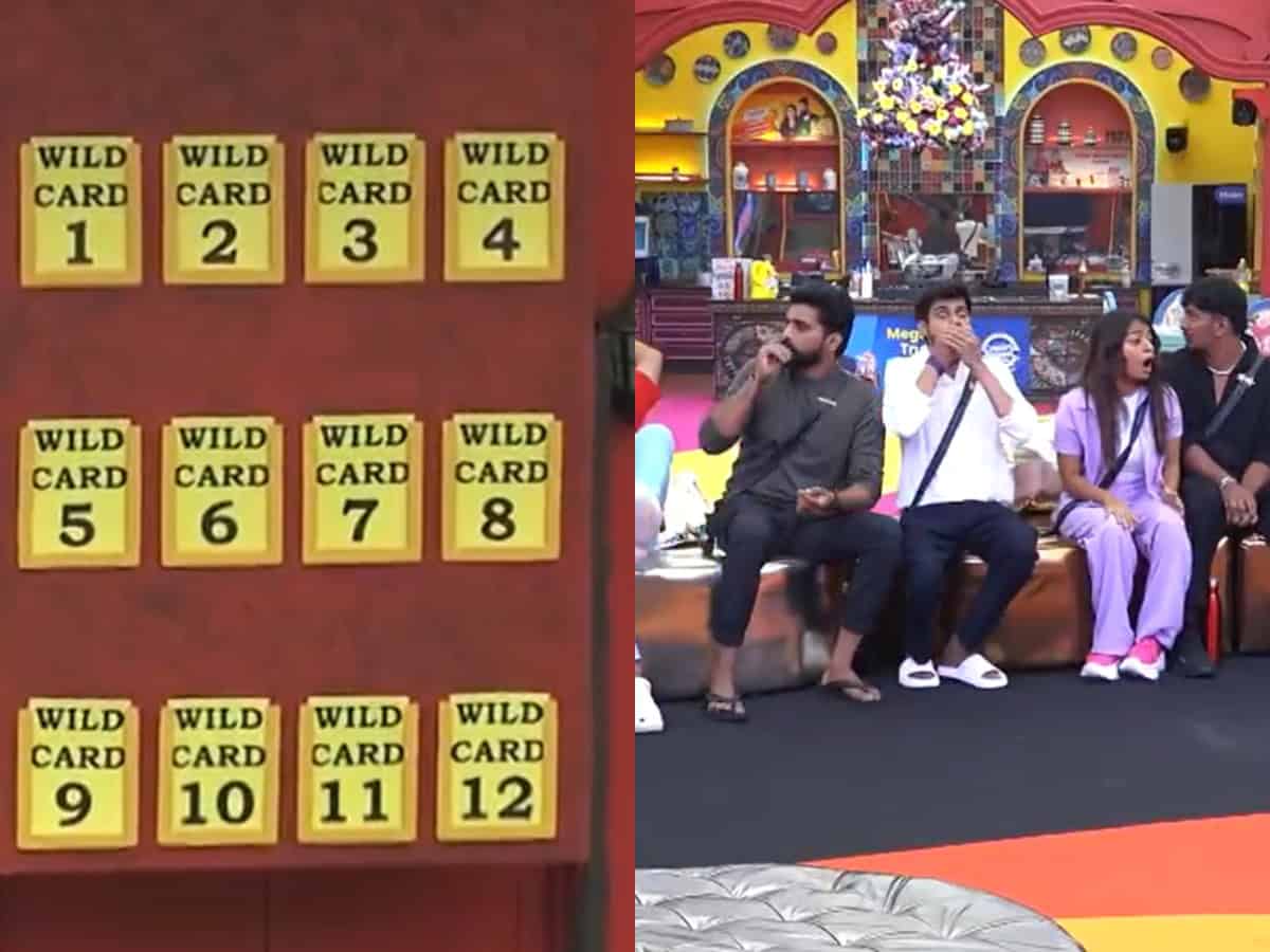 12 New contestants to enter Bigg Boss Telugu 8, but there's twist