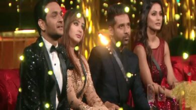 Bigg Boss 18: Makers reveal name, face of first confirmed senior