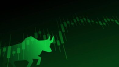 Indian stock markets hit new high amid rate cut optimism globally