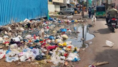 Garbage pile, water stagnation pose health hazards in Hussainialam 