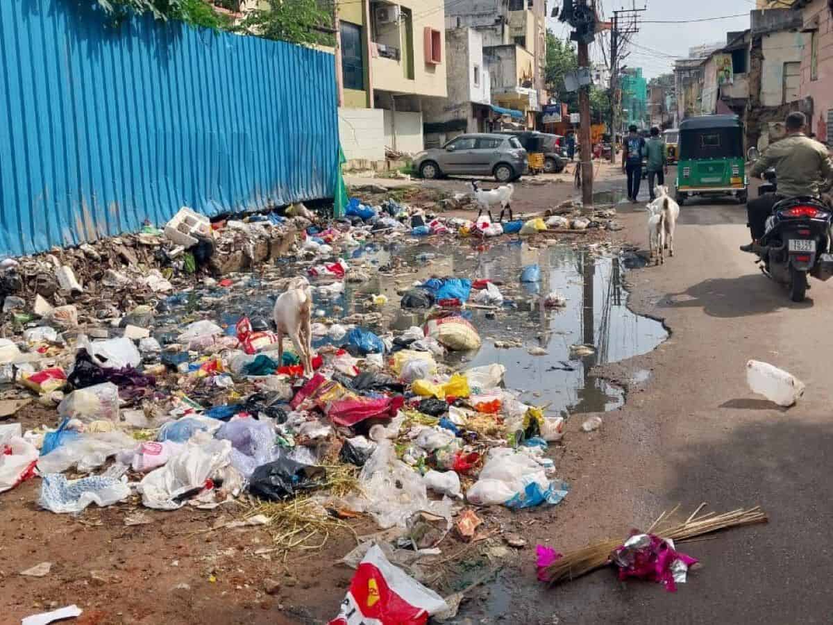 Garbage pile, water stagnation pose health hazards in Hussainialam