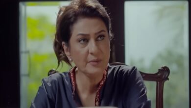 Pakistani drama Noor Jahan 2nd last and last episode date