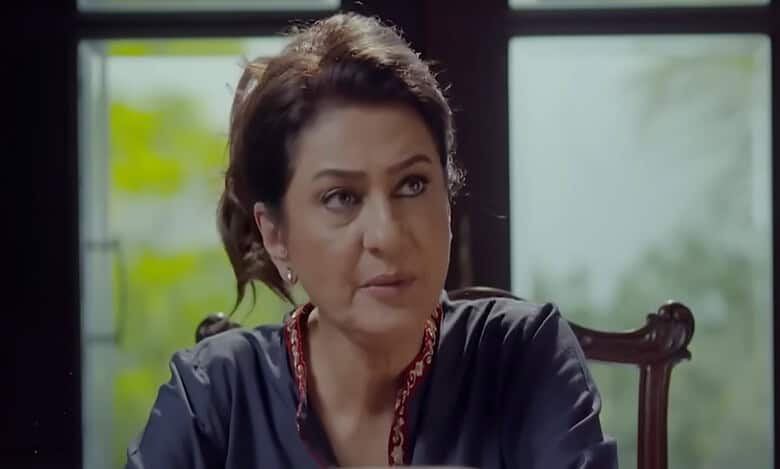 Pakistani drama Noor Jahan 2nd last and last episode date