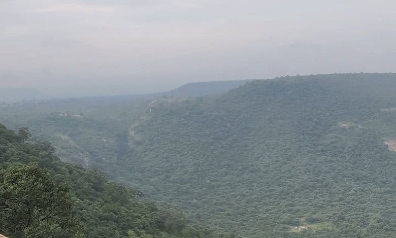 Telangana: 3.7 tonnes of plastic collected from Amrabad Tiger Reserve after ban