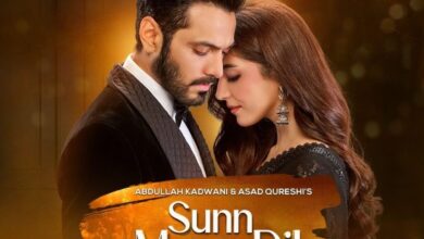 Top 5 reasons to watch upcoming Pakistani drama Sunn Mere Dil