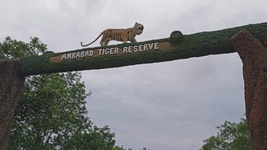 Amrabad Tiger Reserve entrance Telangana