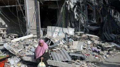 All sectors in Gaza need full support: UN official