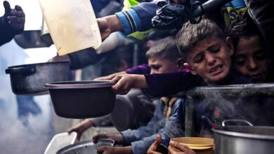 Gaza remains at risk of famine: UN