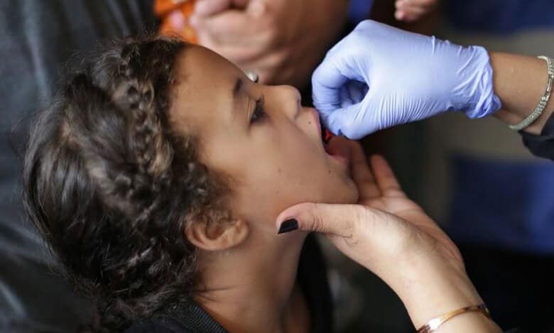 WHO delivers supplies for 2nd phase of polio vaccination campaign in Gaza: UN