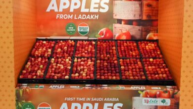 In a first, renowned Karkitchoo apples fly from Ladakh to Saudi Arabia