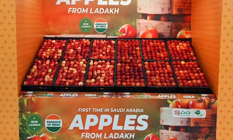 In a first, renowned Karkitchoo apples fly from Ladakh to Saudi Arabia