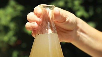 Scores were taken ill after consuming contaminated water from an open well in Sanjeevanraopet village of Narayankhed mandal in Sangareddy district on Saturday.
