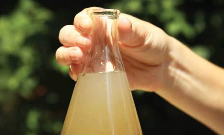 Scores were taken ill after consuming contaminated water from an open well in Sanjeevanraopet village of Narayankhed mandal in Sangareddy district on Saturday.