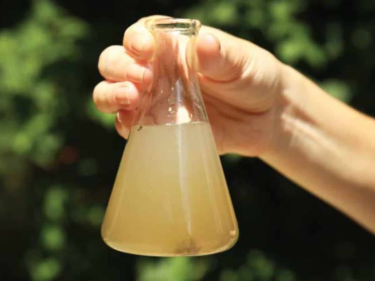 Scores were taken ill after consuming contaminated water from an open well in Sanjeevanraopet village of Narayankhed mandal in Sangareddy district on Saturday.