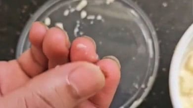 Plastic found in Apricot Delight from Pista House