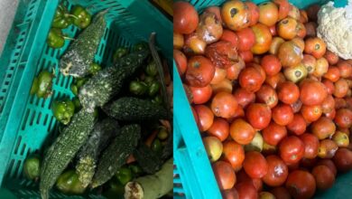 Restaurants raided in Hyderabad Chaitanyapuri