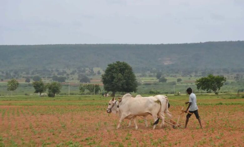 State government constitutes Telangana Agriculture and Farmers Welfare Commission with seven members and a chairman.