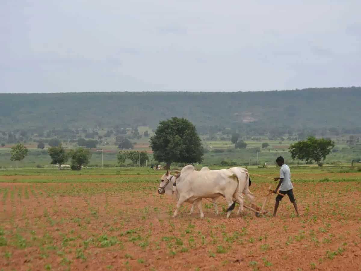 State government constitutes Telangana Agriculture and Farmers Welfare Commission with seven members and a chairman.