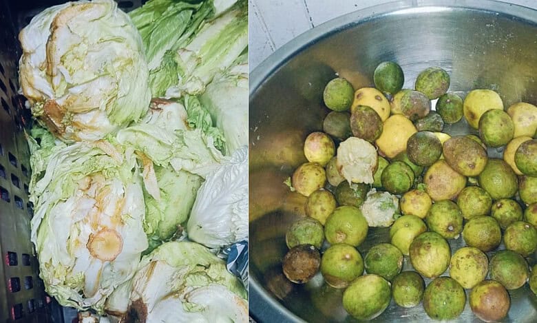 Raids conducted at Gachibowli restaurants in Hyderabad