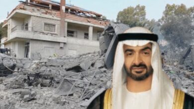 Lebanon Aid UAE