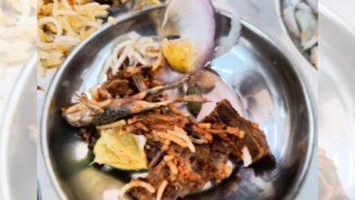 Student discovers frog in IIIT Hyderabad mess meal