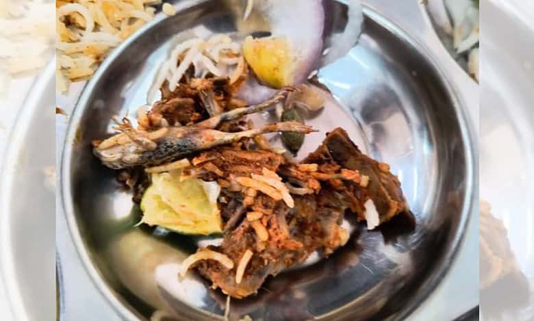 Student discovers frog in IIIT Hyderabad mess meal