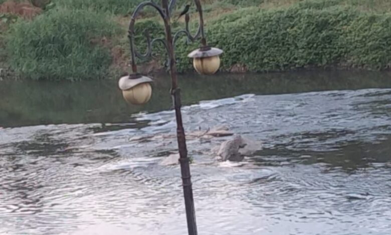 Residents spot crocodile in Musi river
