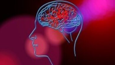 1 in 4 persons suffers stroke, Hyderabad Doc shares preventive measures
