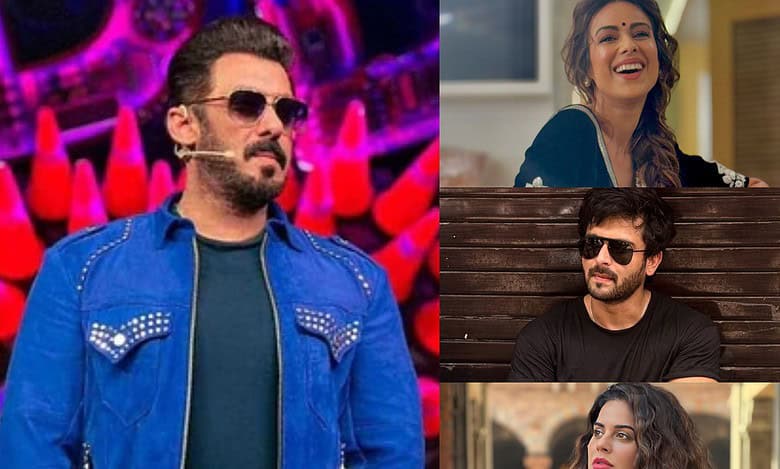 Nia to Arfeen, total 15 contestants confirmed for Bigg Boss 18