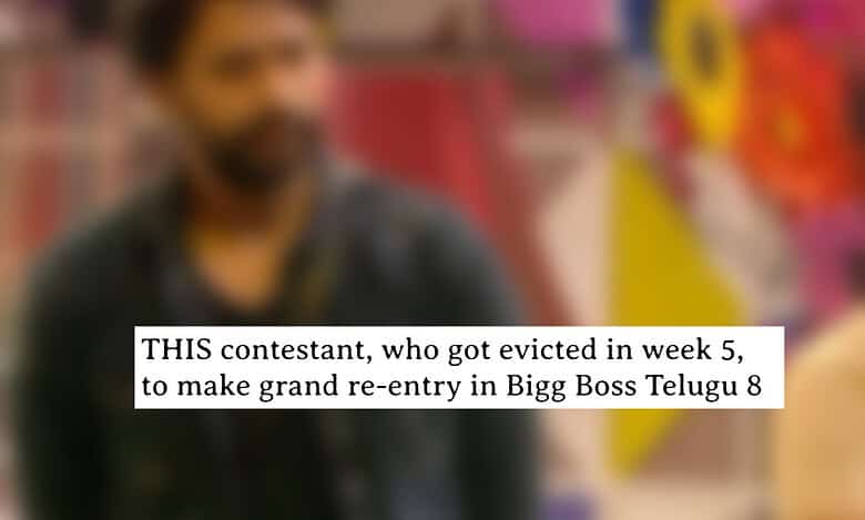 Bigg Boss Telugu 8: Which evicted contestant is coming back?