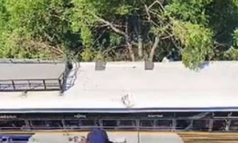 AP: Scores injured after bus falls inside ravine near Pulivendula