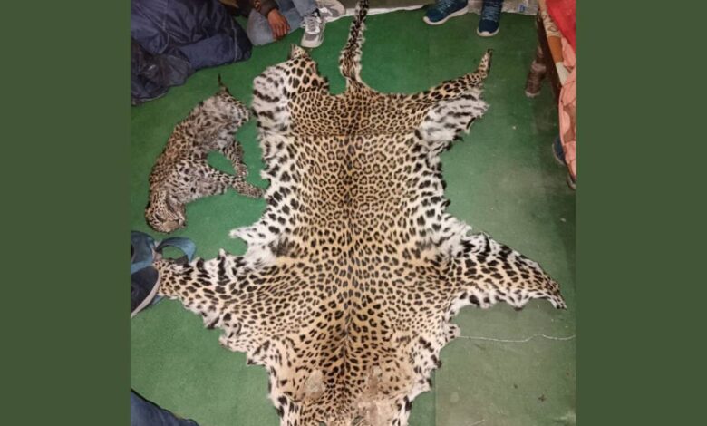 India’s Most Trafficked Wild Animals: A Crisis in Biodiversity