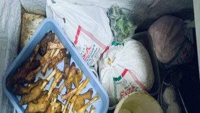 Raids at restaurants in Old City of Hyderabad uncover cockroach infestation