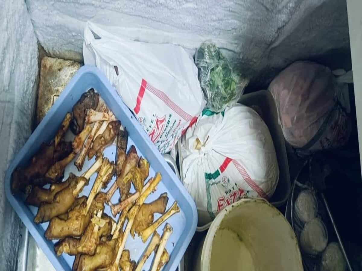 Raids at restaurants in Old City of Hyderabad uncover cockroach infestation