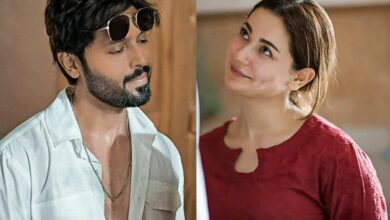 When is Kabhi Main Kabhi Tum's last episode? Adeel spills beans