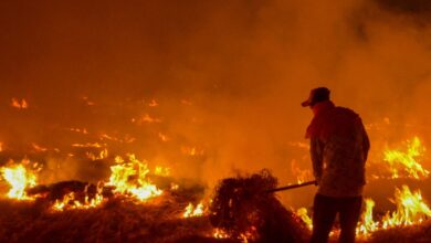Punjab farmers to block highways in protest over FIRs for stubble burning