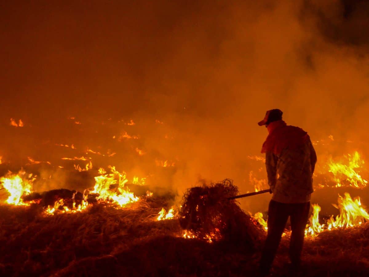 Punjab farmers to block highways in protest over FIRs for stubble burning