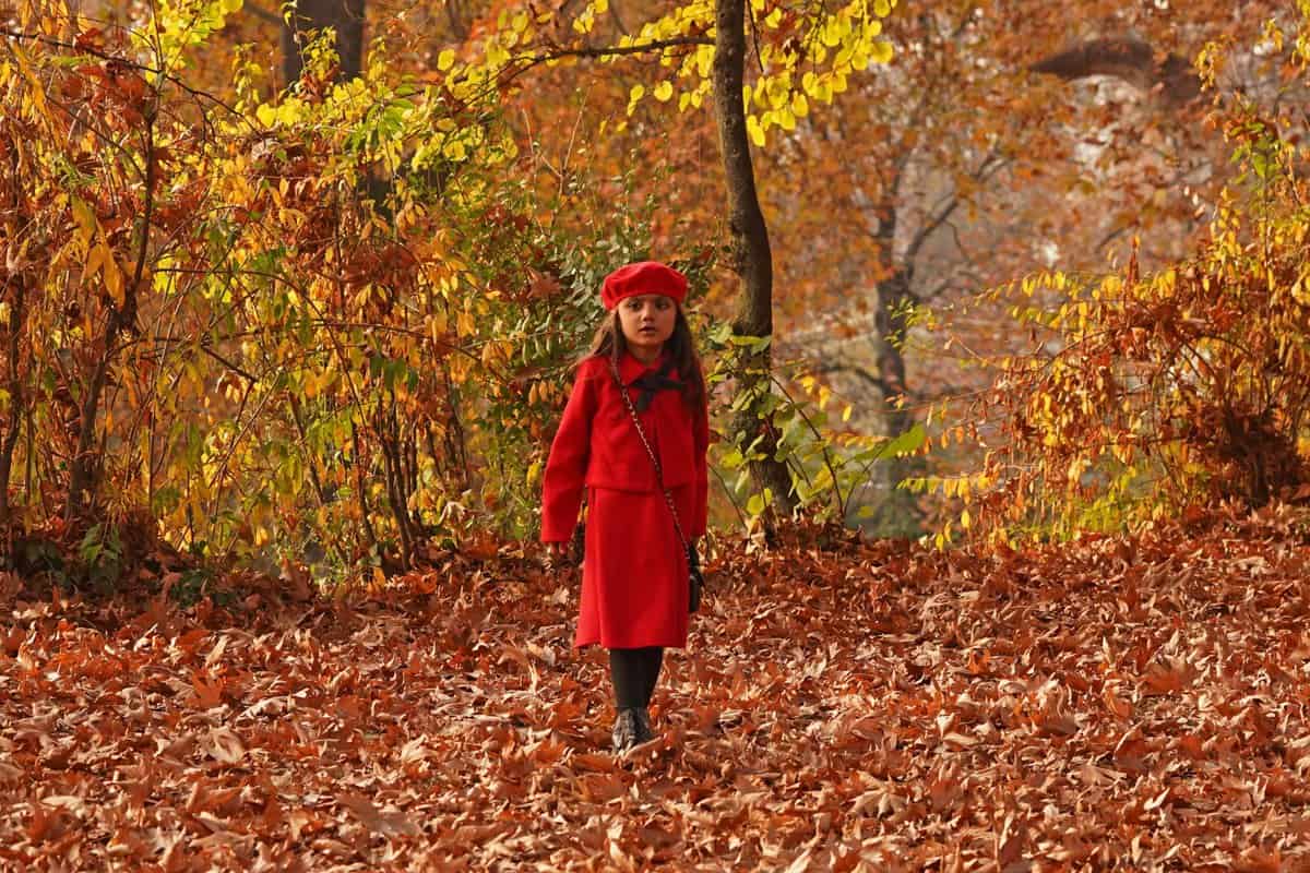 Autumn in Kashmir