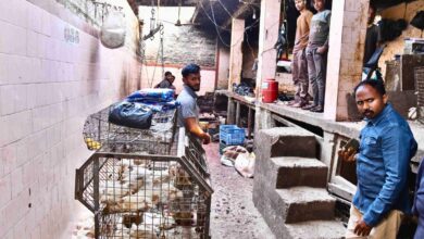 APC Chicken Market in Hyderabad raided by GHMC Mayor