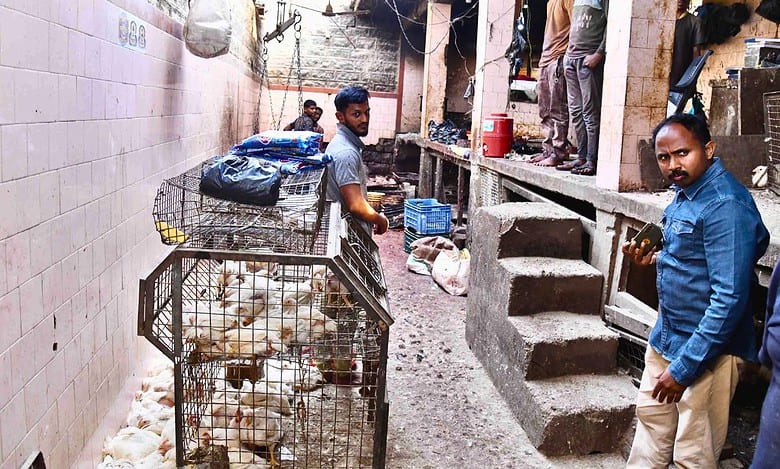 APC Chicken Market in Hyderabad raided by GHMC Mayor