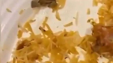 Cigarette butt found in biryani served at Bawarchi restaurant