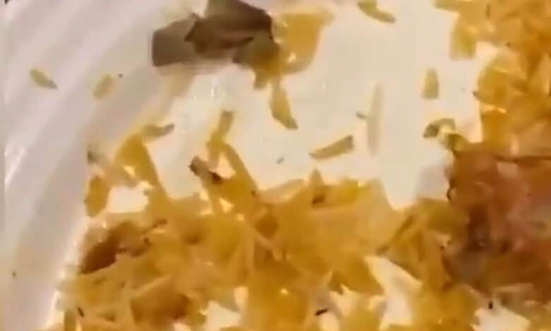Cigarette butt found in biryani served at Bawarchi restaurant