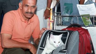 Eva becomes 1st pet passenger to land at Kochi airport from Doha